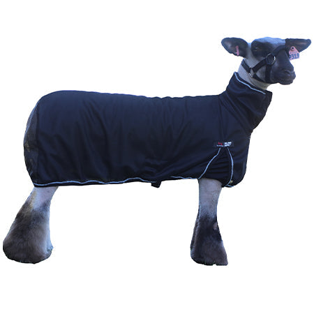 Sullivan Supply Cool Tech Sheep Blanket